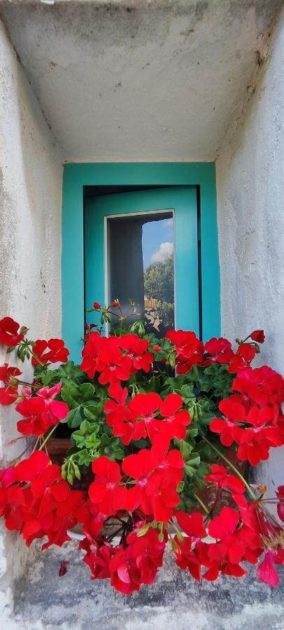 Family House "Pansion Kvarner" Villa Punat Exterior foto